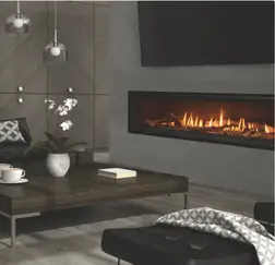 Natural Gas Fireplaces